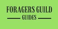 Series: Foragers Guild Guides