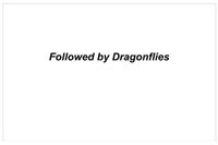 RPG: Followed by Dragonflies