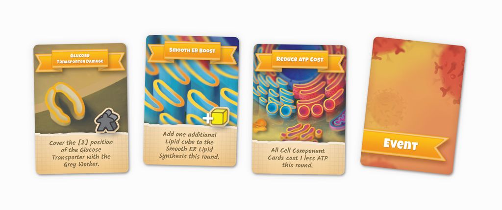 Illustration 8 de Cytosis: A Cell Biology Board Game