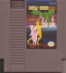 Video Game: Castle of Dragon