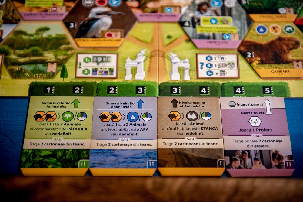Sanctuary @ BoardGameColors