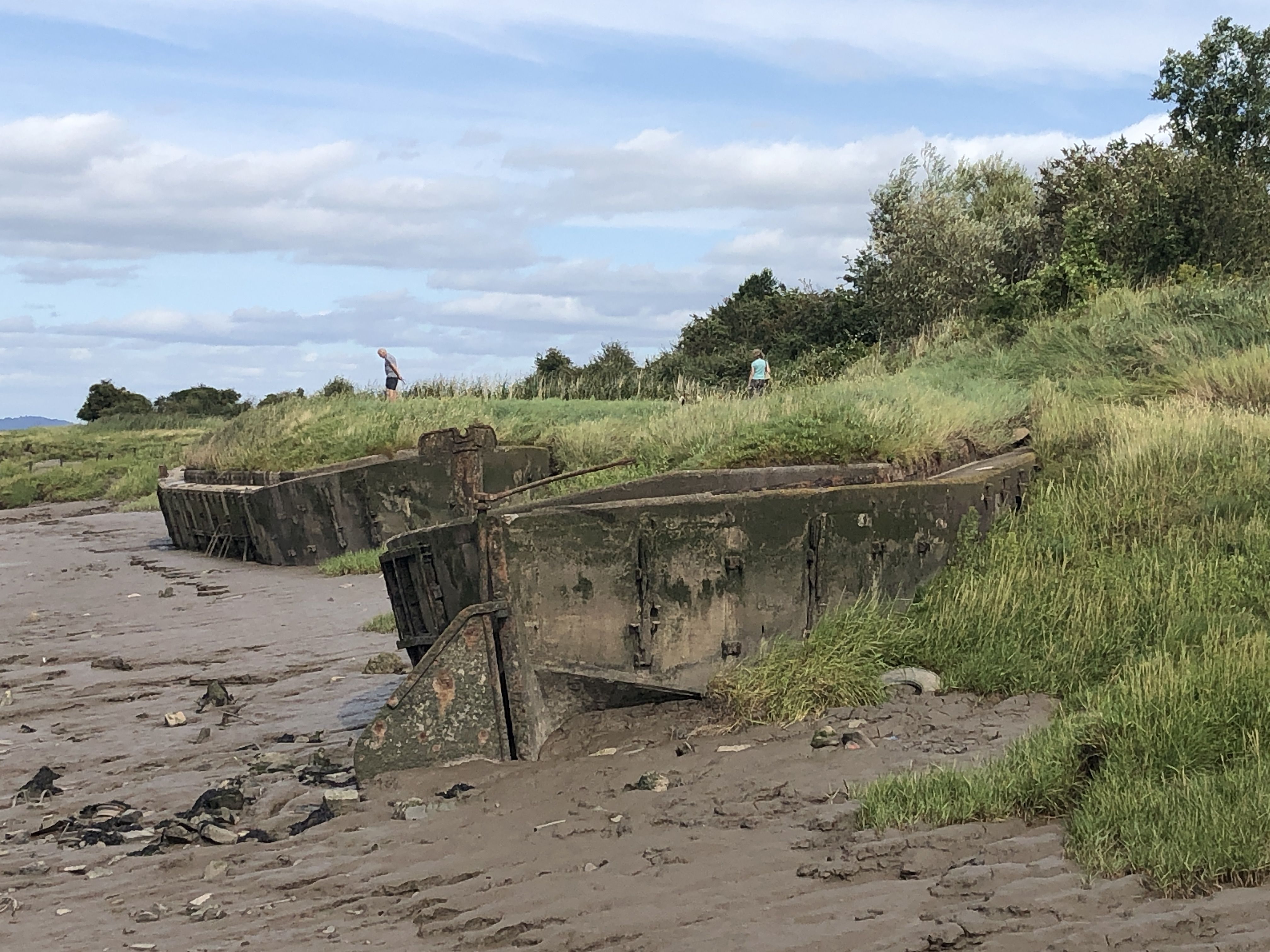 Purton On The Wrecks Everyone Needs A Shed RPGGeek