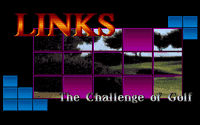 Video Game: Links The Challenge Of Golf