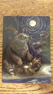 Birds of a Feather: Undomesticated Owl Bear Promo