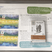 Wingspan: Swift-Start Promo Pack