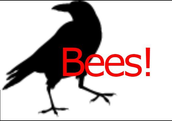 Bees!