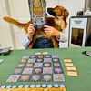 Meeple is curious about Sfynx (Play It Yourself Review)