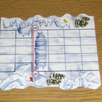 Snow Tails: Polar Plunge Track