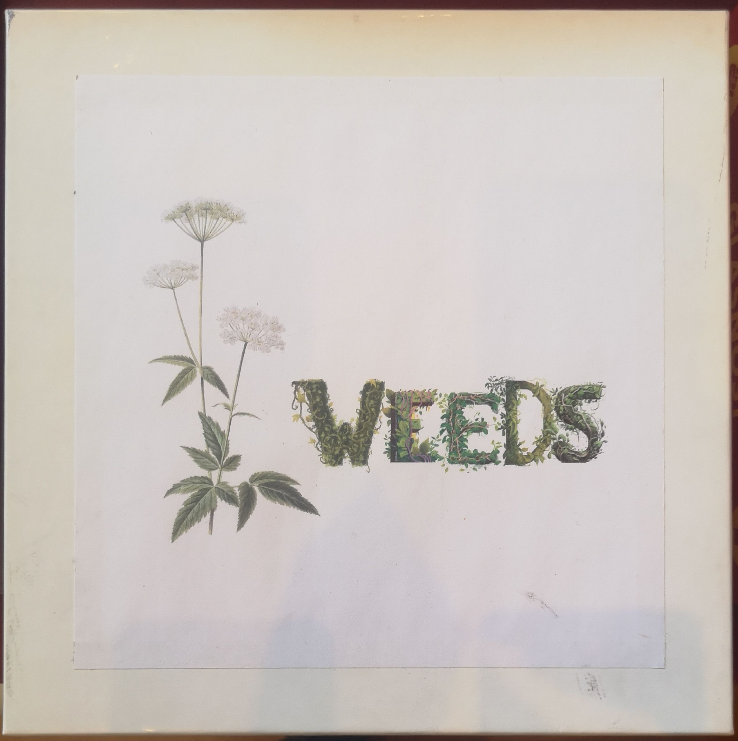 Weeds