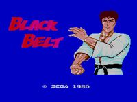 Video Game: Black Belt