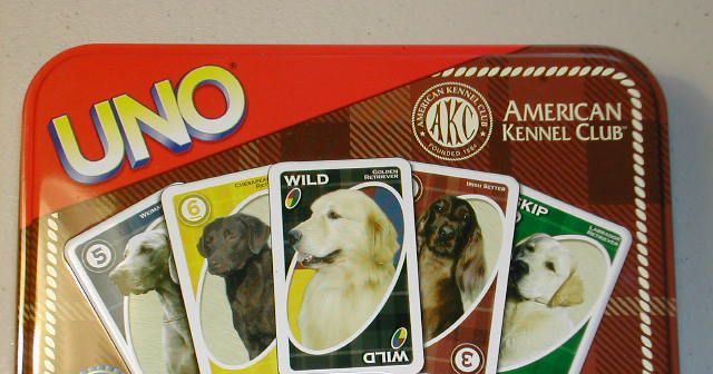 Dog Toys: Play Time with a Purpose – American Kennel Club
