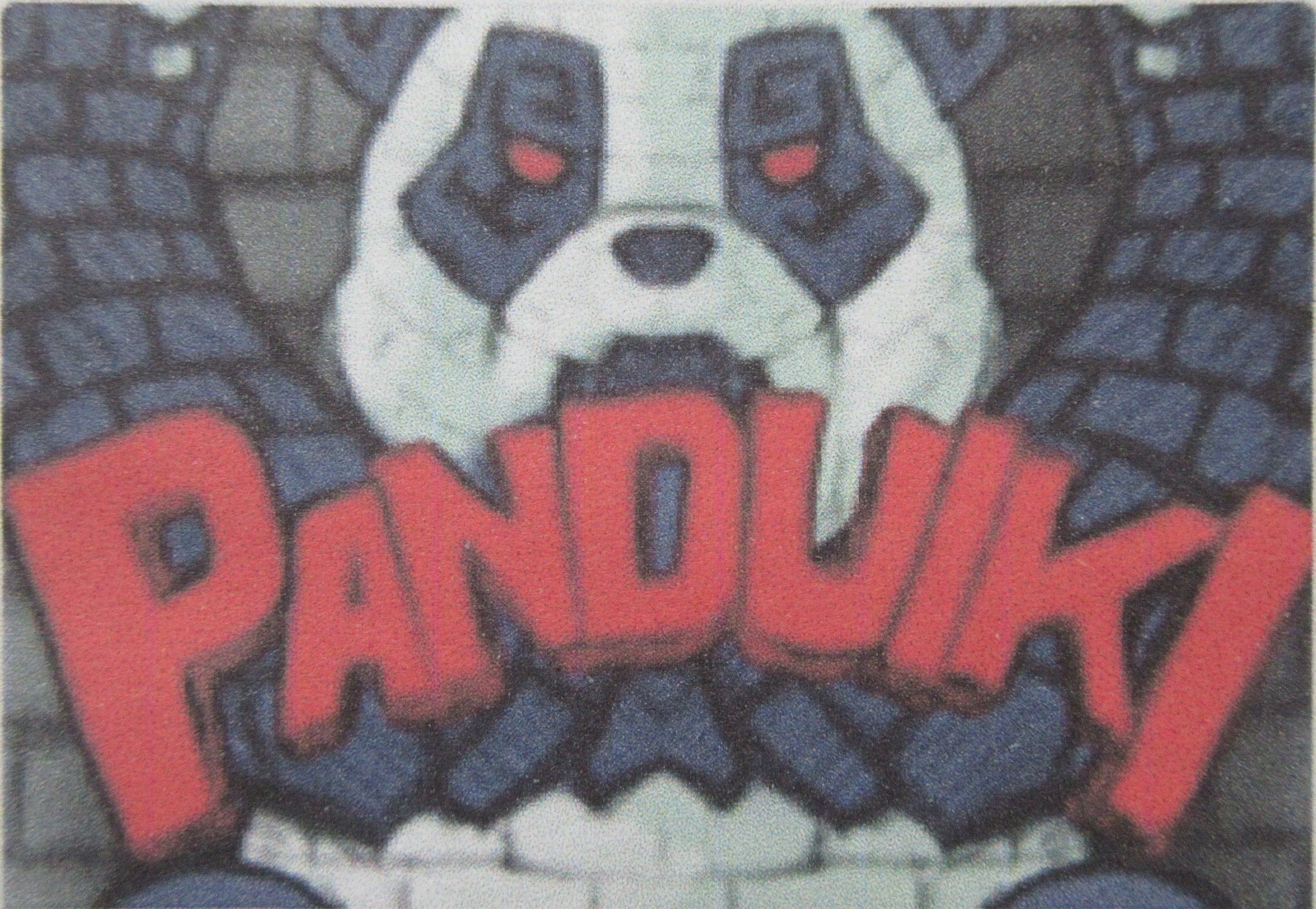 Panduiki