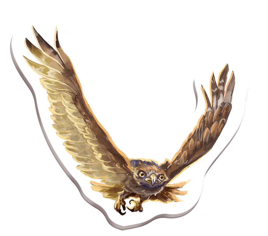 Redwood: The Majestic Bird of Prey