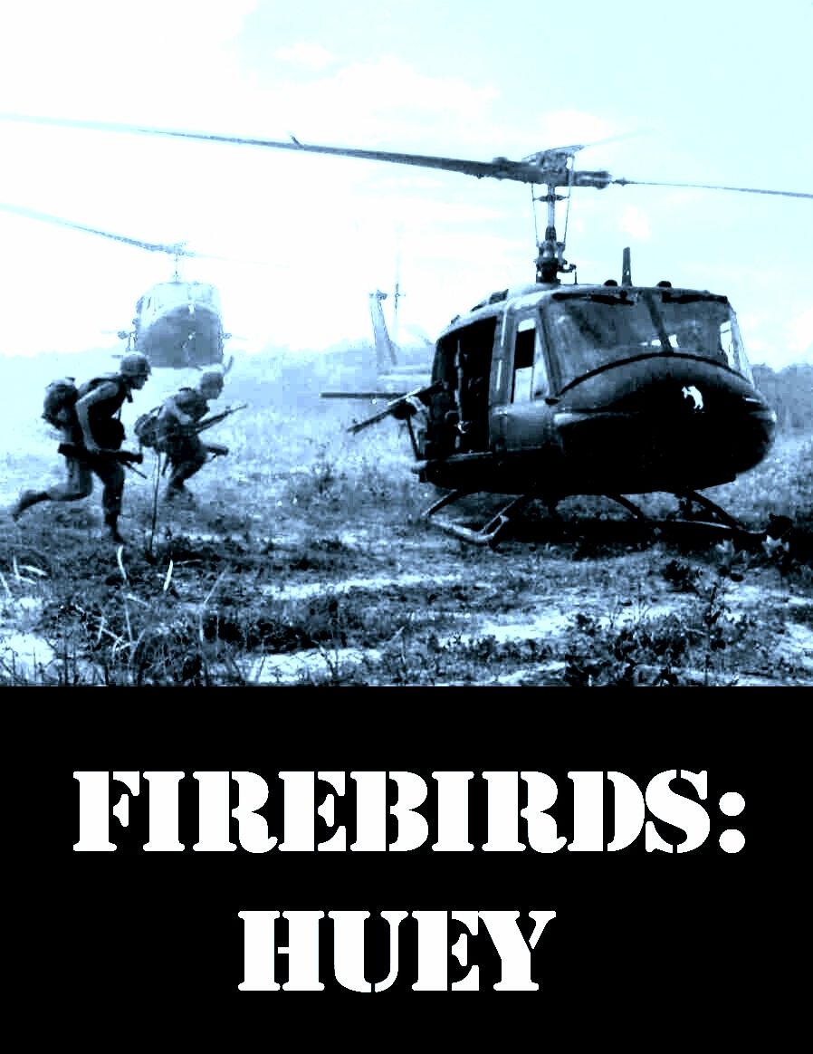 Firebirds: Huey box art