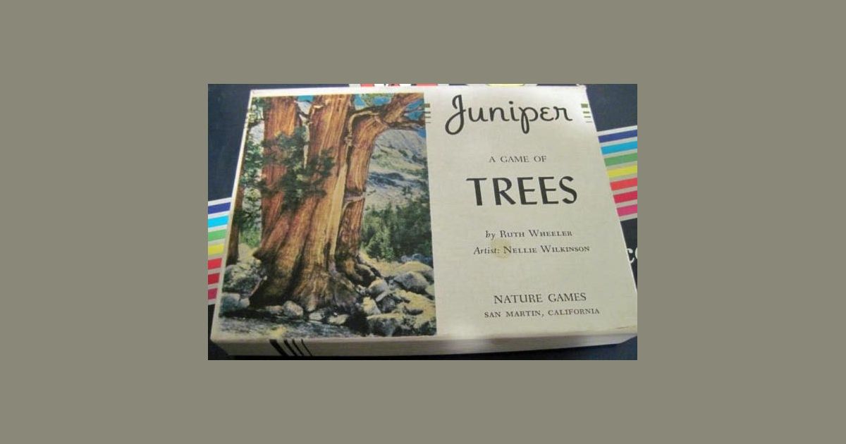 the juniper game by sherryl jordan