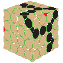 Cube Lariat